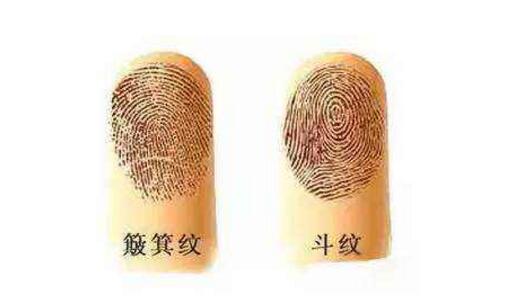 手指螺纹个数代表的含义，0个斗和10个斗是绝配