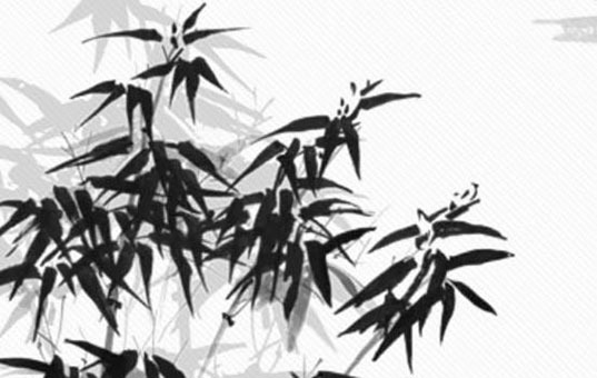 女人体相看富贵 健康平安享受财富快乐