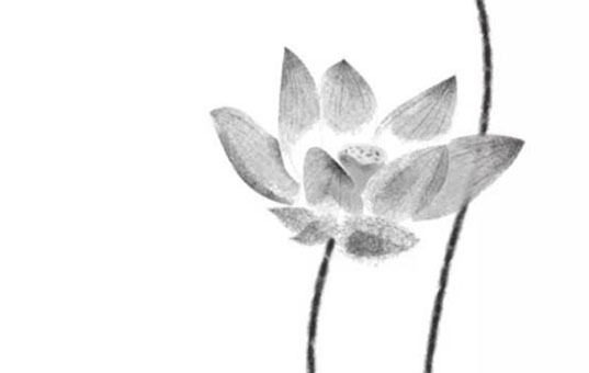 面相怎么看寿命长短 健康生活无忧无虑
