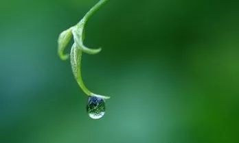 逢九年有什么讲究 逢九年是虚岁还是周岁
