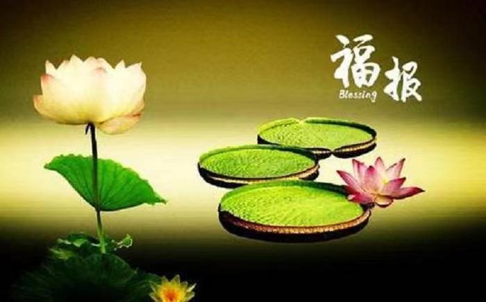 什么地方做生命根基改运好,有来龙有生气且结穴的地方