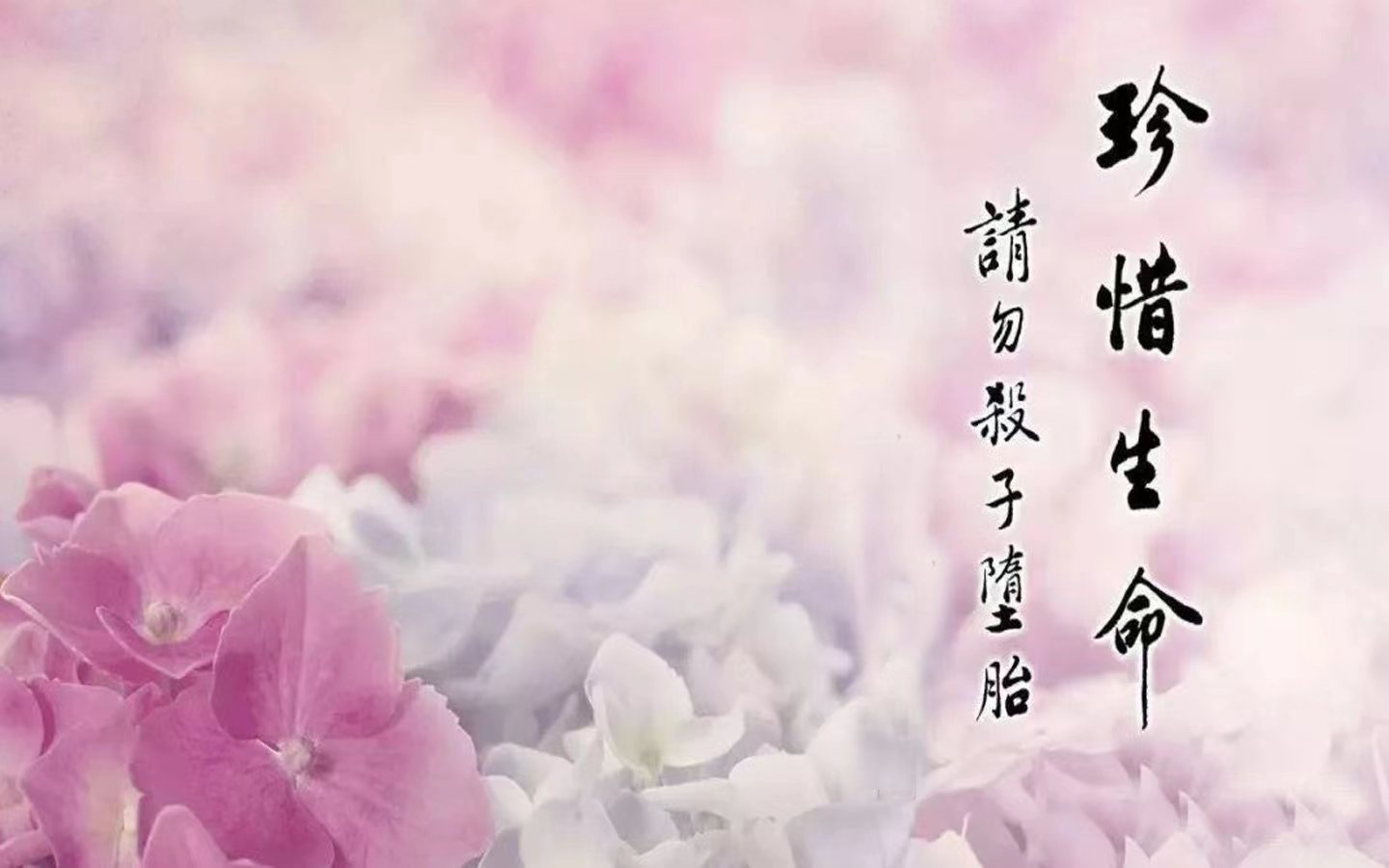 你知道旺夫的女命出生在几月吗 看你有没有这种好命