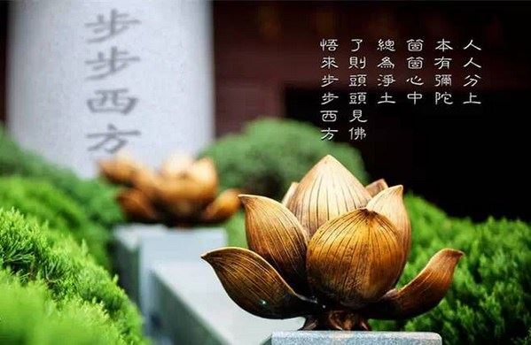 道家与佛家的养生之道 有什么共同之处