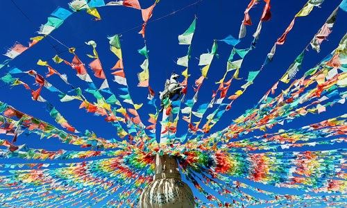 种生基为什么都去广西？主要有2大因素