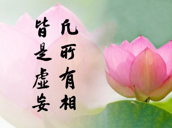 种生基旺桃花成本高 你不如用这些方法来旺桃花