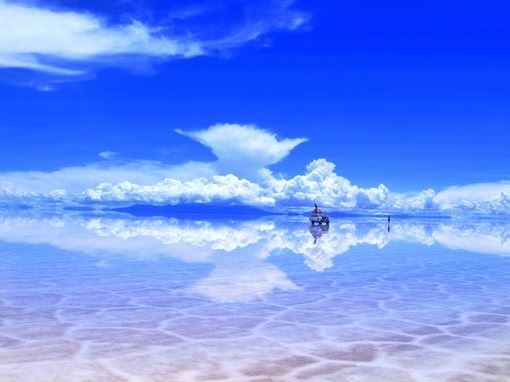 种生基多久开始见效 师傅告诉你答案