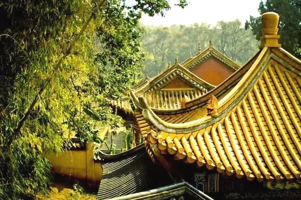 超度婴灵如何写表文