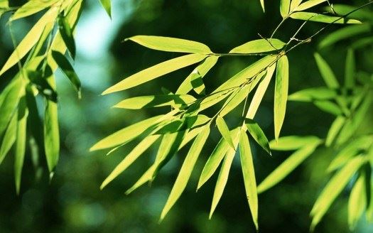 老公睡觉身体抖动频繁惊吓是咋回事，需要重视吗